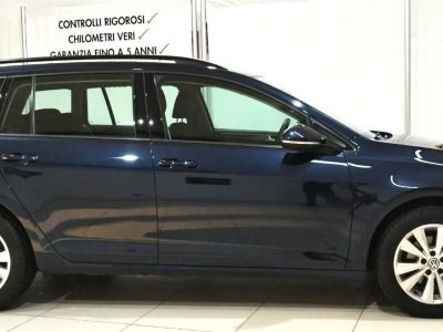 Volkswagen Golf Variant 1.6 TDI 105 CV Comfortline BlueMotion Tech.